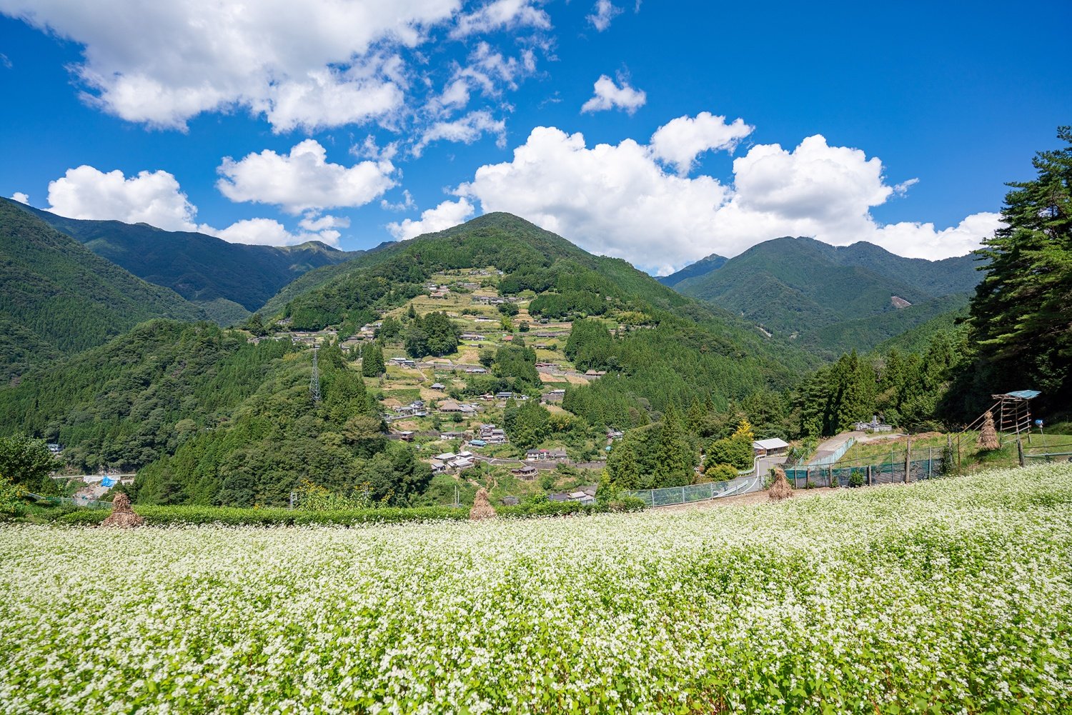🏞️ 오치아이 마을(오치아이 슈라쿠) 이미지 8